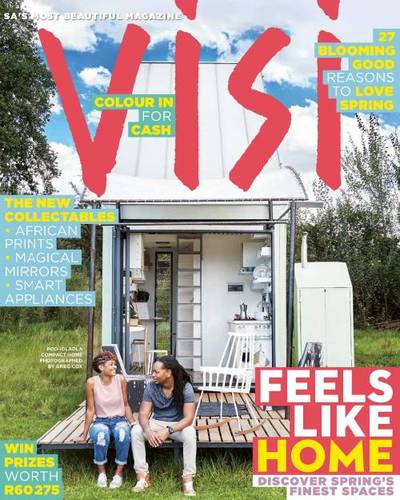 Visi Cover